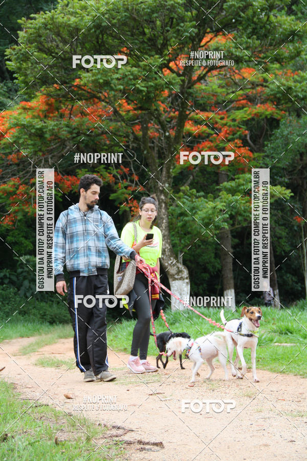 Buy your photos of the event2 PET RUNNER 2019 on Fotop