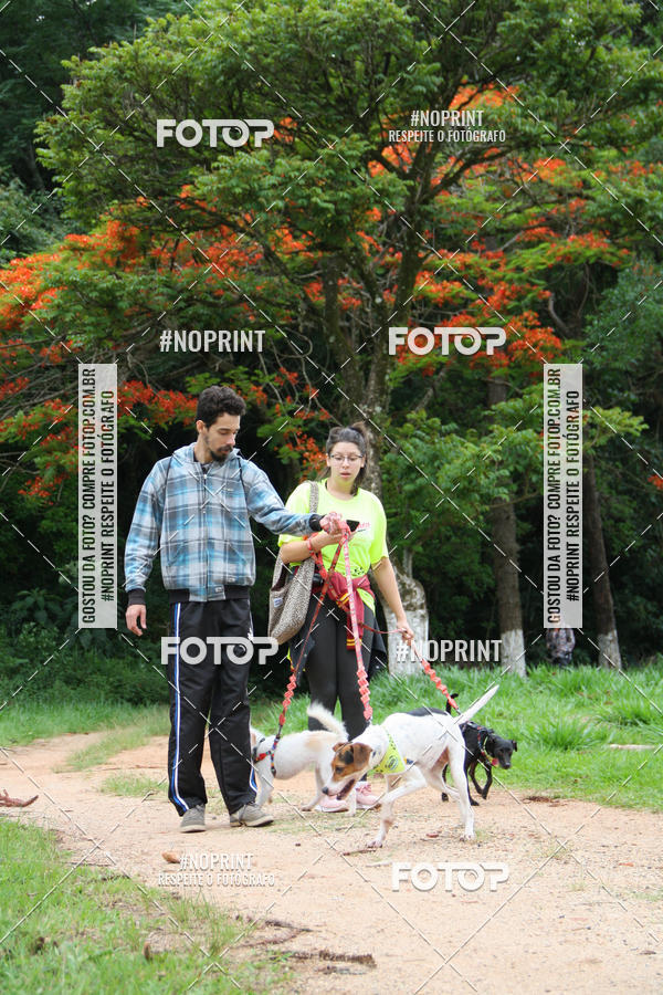 Buy your photos of the event2 PET RUNNER 2019 on Fotop