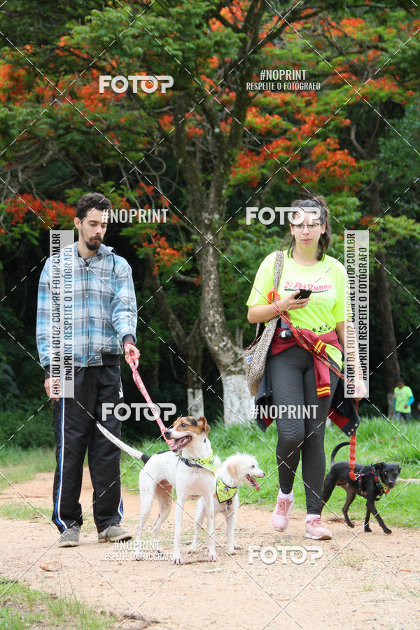 Buy your photos of the event2 PET RUNNER 2019 on Fotop
