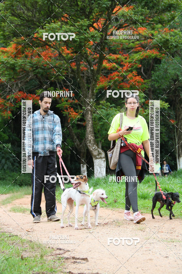 Buy your photos of the event2 PET RUNNER 2019 on Fotop