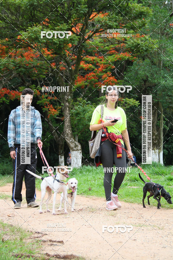 Buy your photos of the event2 PET RUNNER 2019 on Fotop