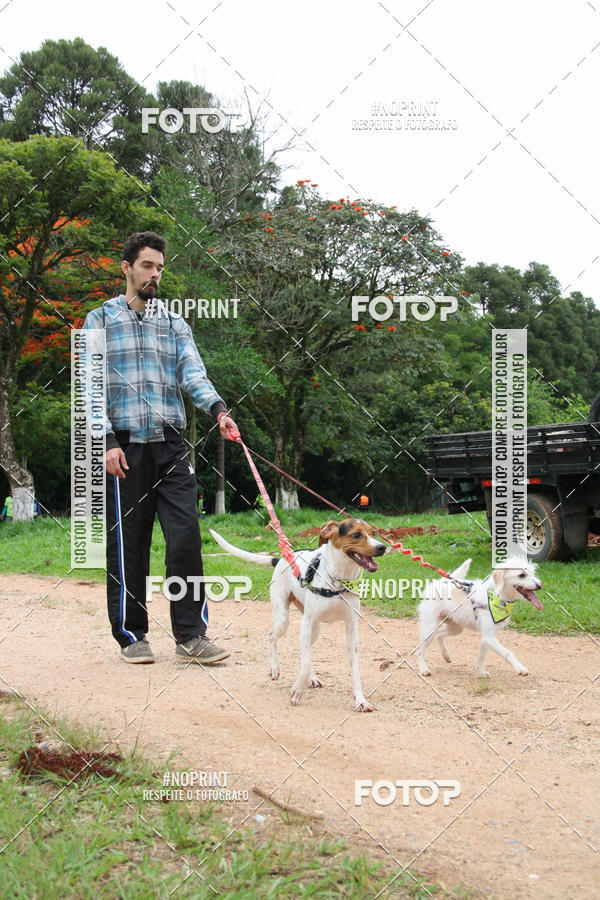 Buy your photos of the event2 PET RUNNER 2019 on Fotop