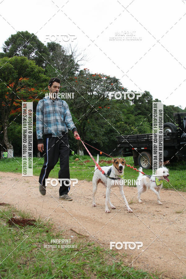 Buy your photos of the event2 PET RUNNER 2019 on Fotop