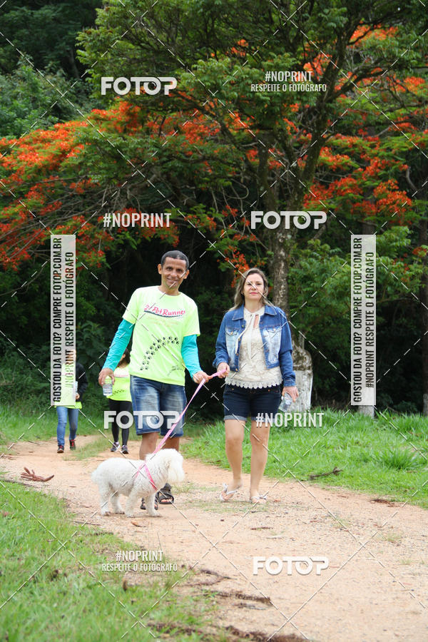 Buy your photos of the event2 PET RUNNER 2019 on Fotop