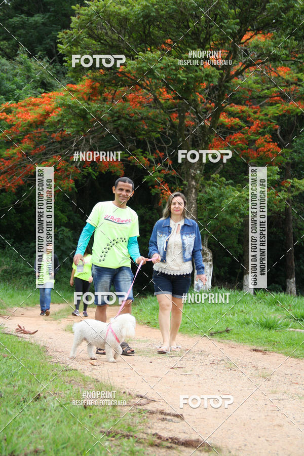 Buy your photos of the event2 PET RUNNER 2019 on Fotop