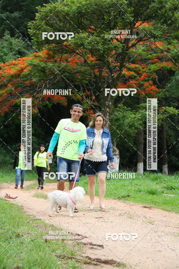 Buy your photos of the event2 PET RUNNER 2019 on Fotop