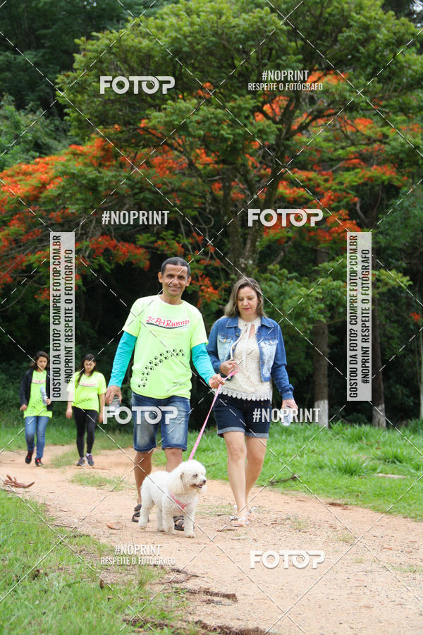 Buy your photos of the event2 PET RUNNER 2019 on Fotop
