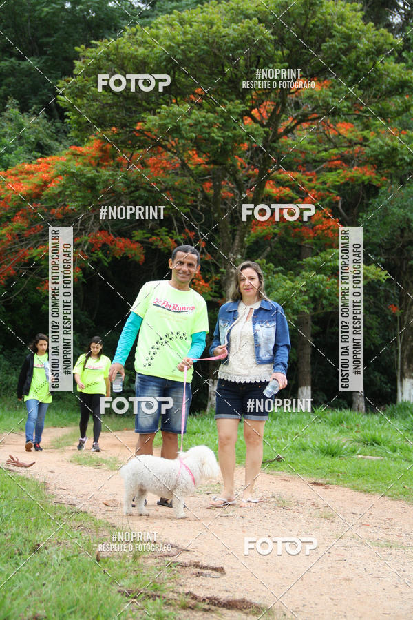 Buy your photos of the event2 PET RUNNER 2019 on Fotop