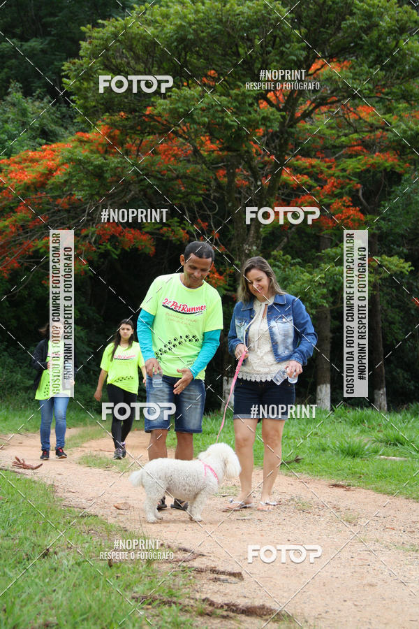 Buy your photos of the event2 PET RUNNER 2019 on Fotop