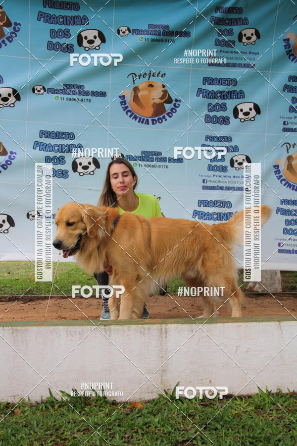 Buy your photos of the event2 PET RUNNER 2019 on Fotop