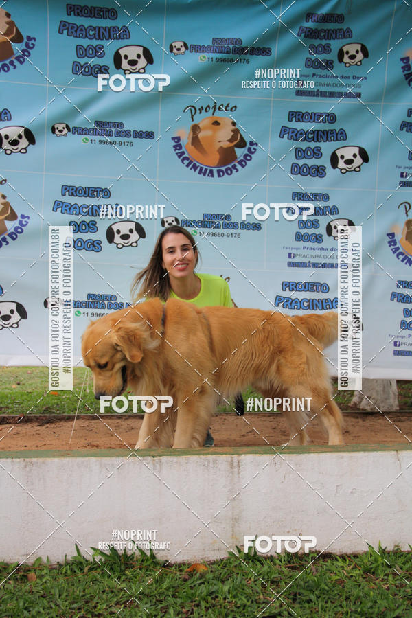 Buy your photos of the event2 PET RUNNER 2019 on Fotop