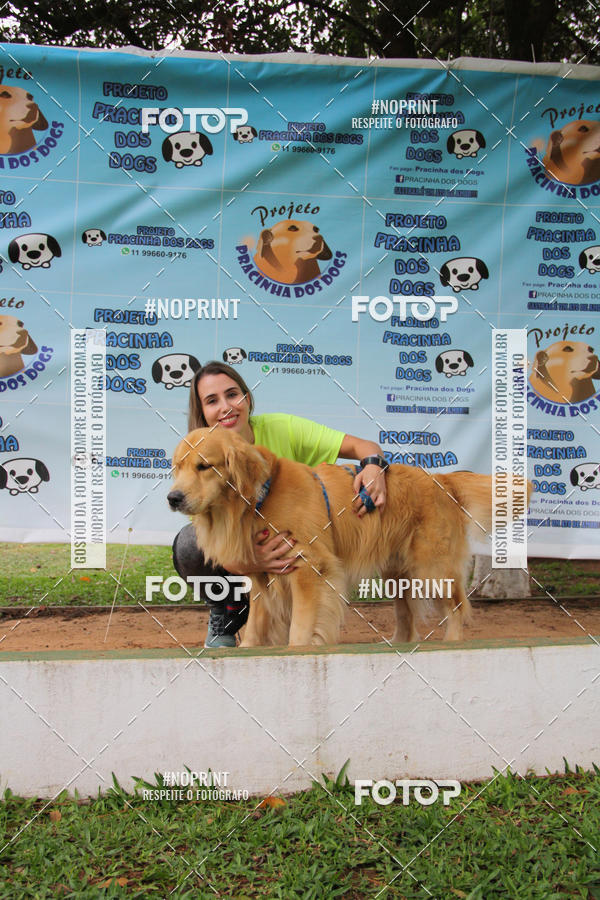 Buy your photos of the event2 PET RUNNER 2019 on Fotop