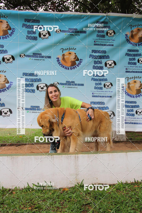 Buy your photos of the event2 PET RUNNER 2019 on Fotop