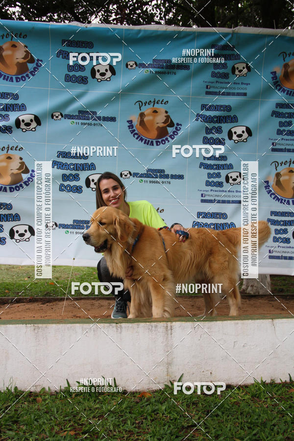 Buy your photos of the event2 PET RUNNER 2019 on Fotop