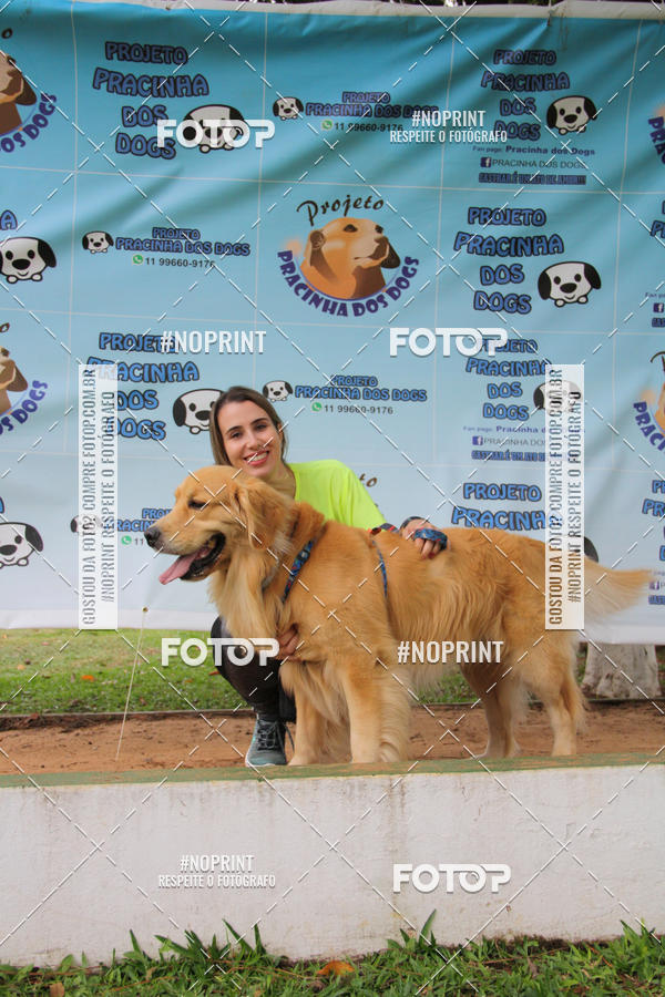 Buy your photos of the event2 PET RUNNER 2019 on Fotop