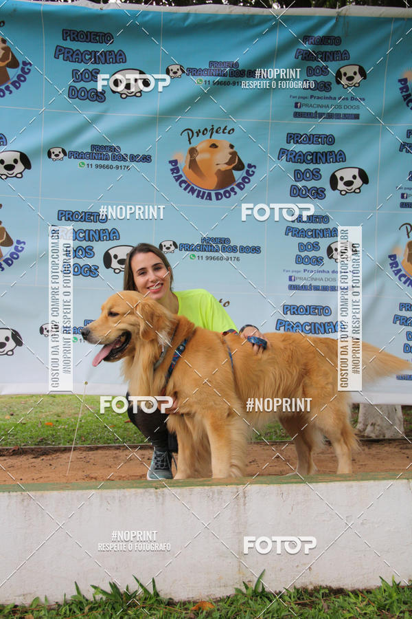Buy your photos of the event2 PET RUNNER 2019 on Fotop