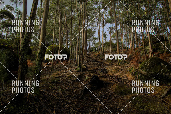 Buy your photos of the eventTrail Vila de So Torcato on Fotop