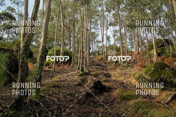 Buy your photos of the eventTrail Vila de So Torcato on Fotop