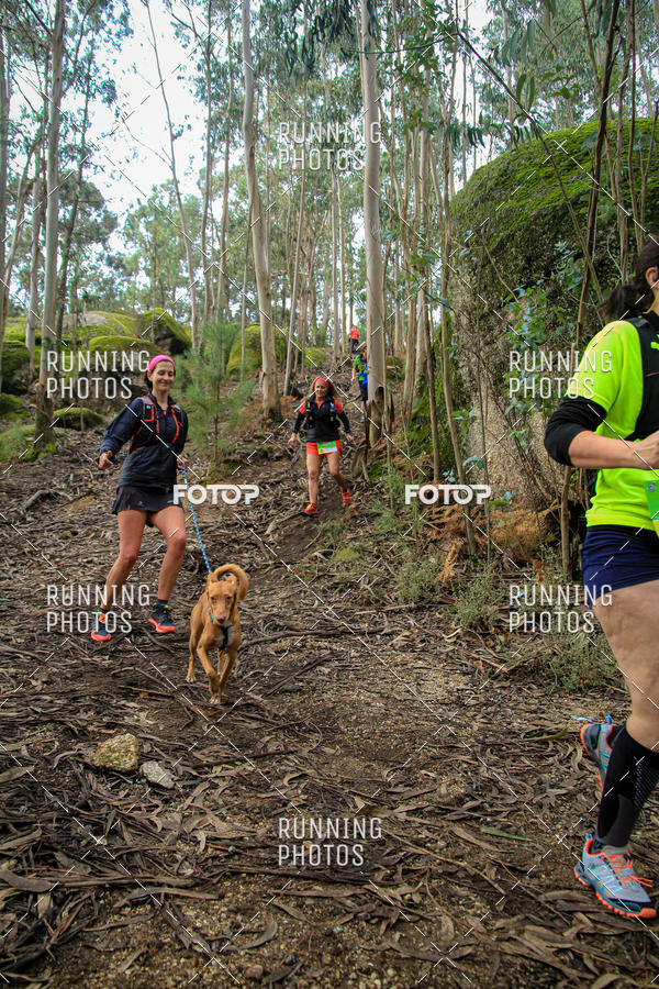 Buy your photos of the eventTrail Vila de S�o Torcato on Fotop