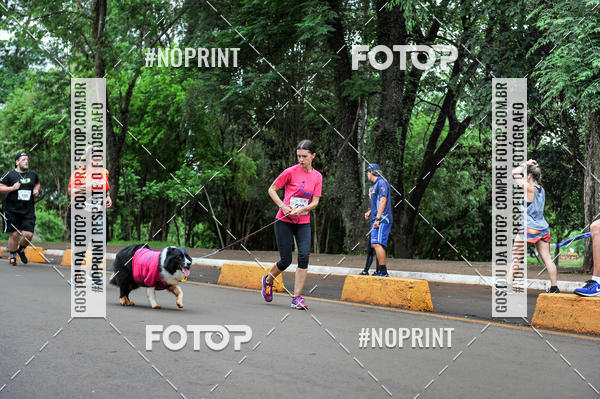 Buy your photos of the eventA.YOSHII RUNNING 2019  on Fotop