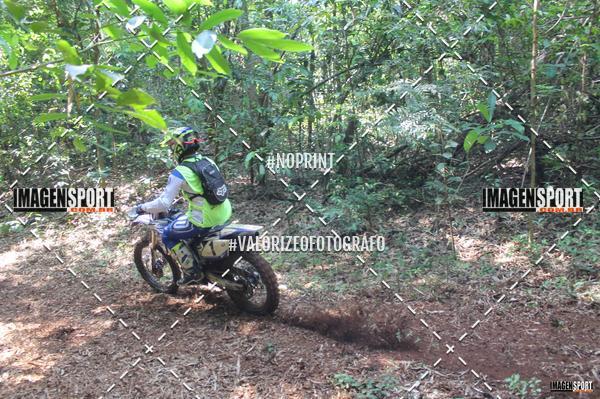 Buy your photos of the event1� UNI�O DOS AMIGOS DA APAE SACRAMENTO - TRILH�O on Fotop