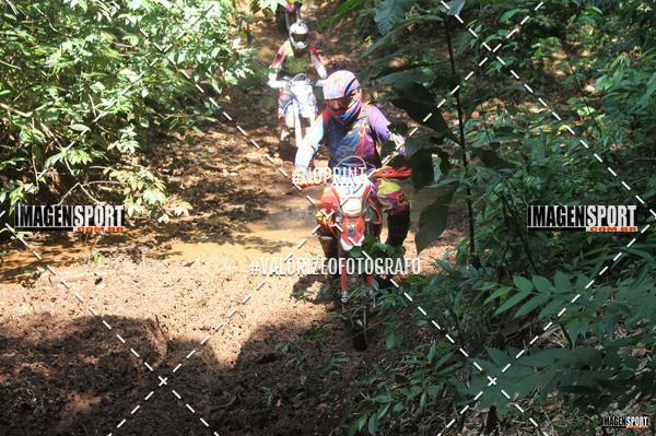 Buy your photos of the event1� UNI�O DOS AMIGOS DA APAE SACRAMENTO - TRILH�O on Fotop