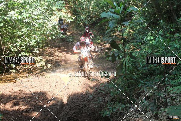 Buy your photos of the event1� UNI�O DOS AMIGOS DA APAE SACRAMENTO - TRILH�O on Fotop