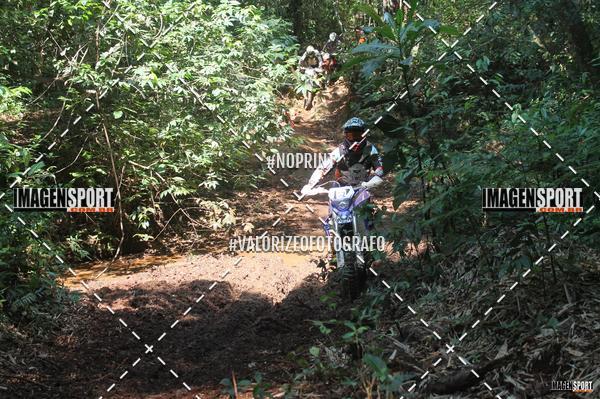 Buy your photos of the event1� UNI�O DOS AMIGOS DA APAE SACRAMENTO - TRILH�O on Fotop