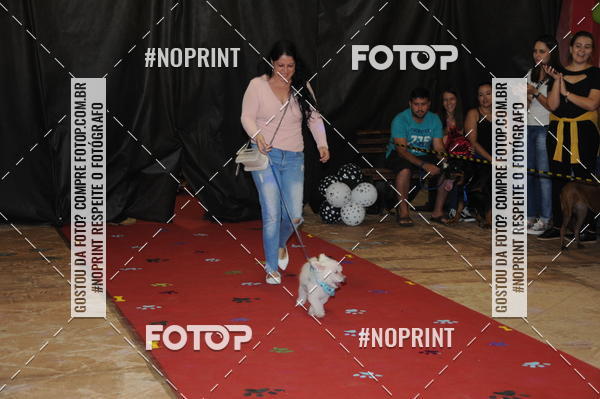 Buy your photos of the eventCo Curso Desfile de Ces on Fotop