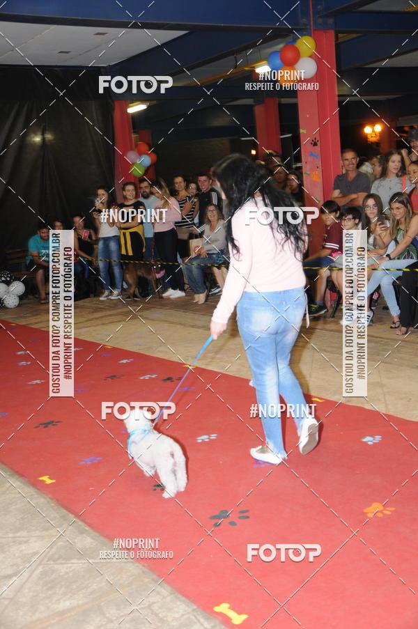 Buy your photos of the eventCo Curso Desfile de Ces on Fotop