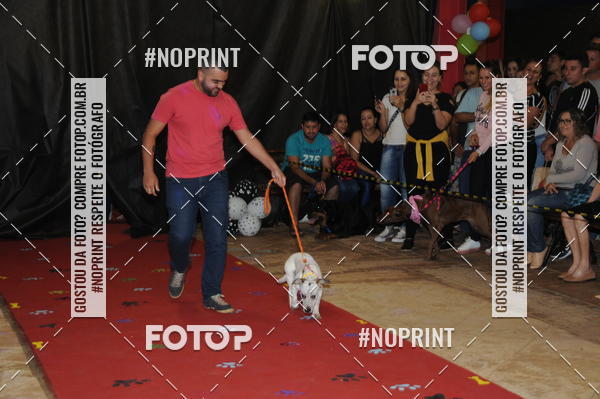 Buy your photos of the eventCo Curso Desfile de Ces on Fotop