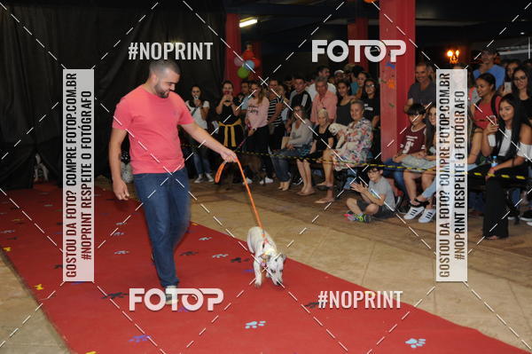 Buy your photos of the eventCo Curso Desfile de Ces on Fotop