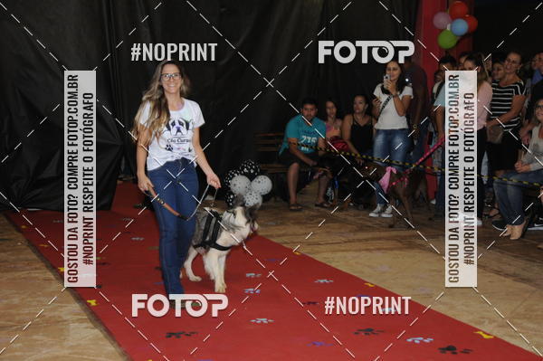 Buy your photos of the eventCo Curso Desfile de Ces on Fotop