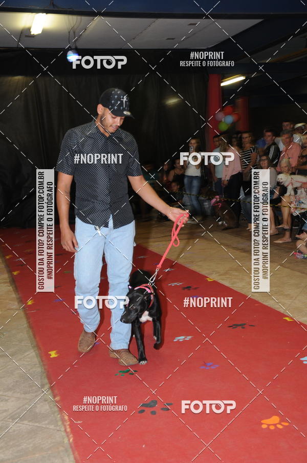 Buy your photos of the eventCo Curso Desfile de Ces on Fotop