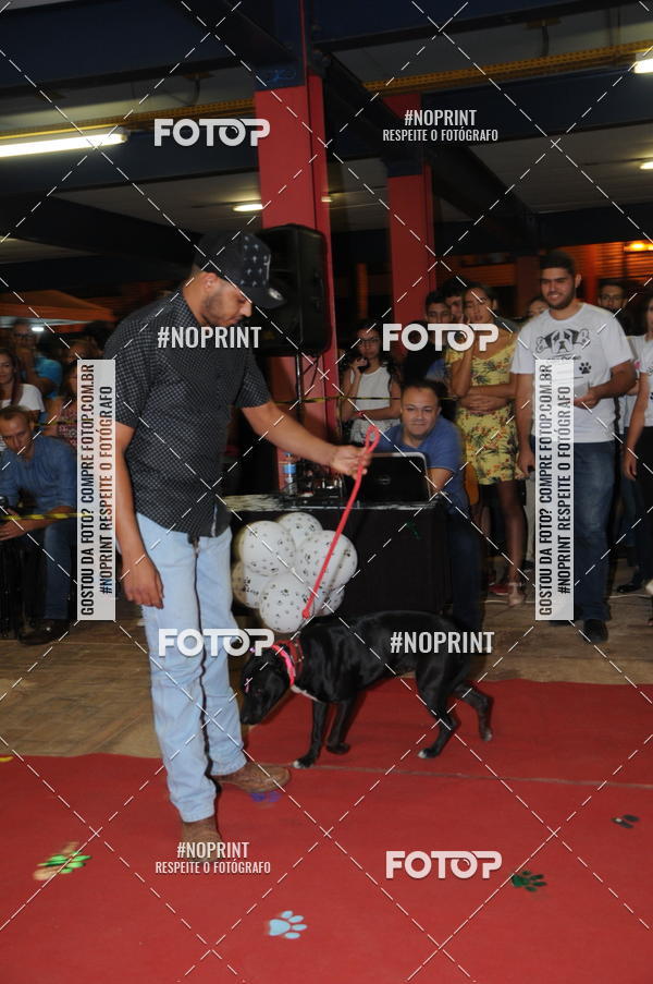 Buy your photos of the eventCo Curso Desfile de Ces on Fotop