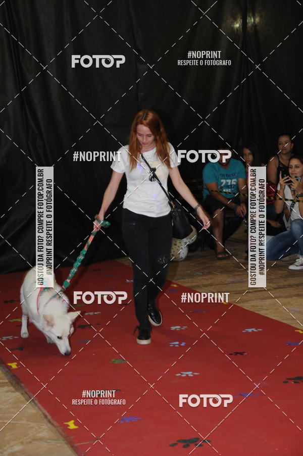 Buy your photos of the eventCo Curso Desfile de Ces on Fotop