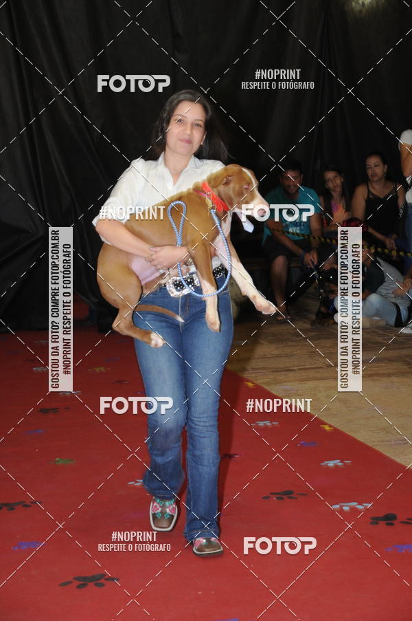 Buy your photos of the eventCo Curso Desfile de Ces on Fotop