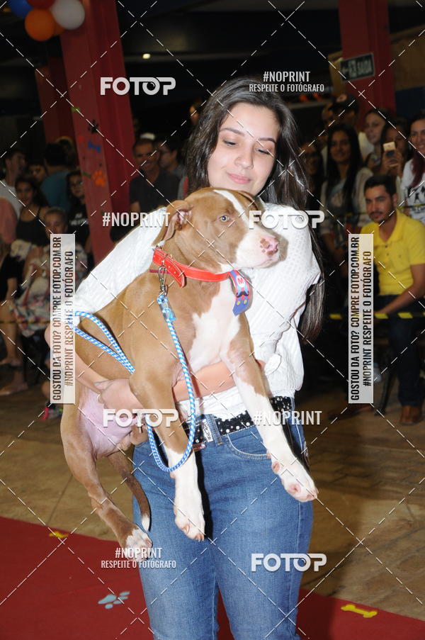 Buy your photos of the eventCo Curso Desfile de Ces on Fotop