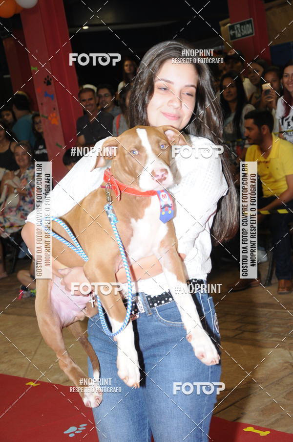 Buy your photos of the eventCo Curso Desfile de Ces on Fotop