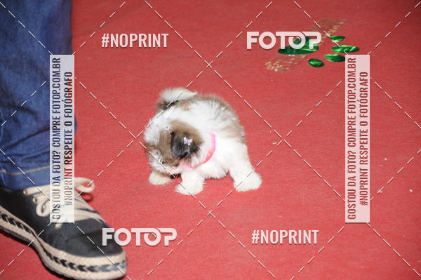 Buy your photos of the eventCo Curso Desfile de Ces on Fotop