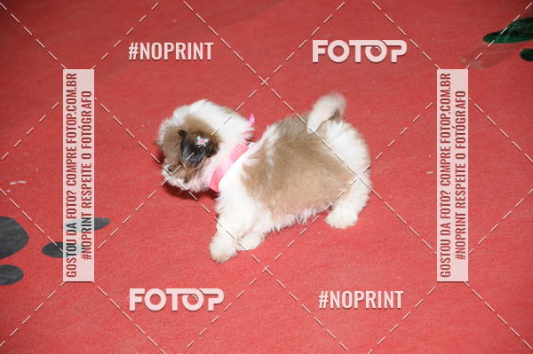 Buy your photos of the eventCo Curso Desfile de Ces on Fotop