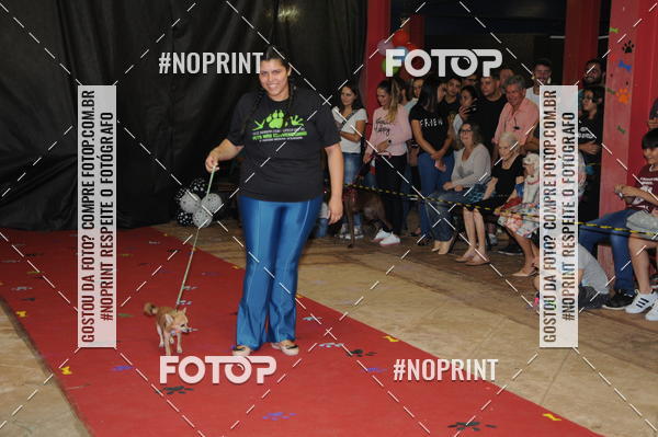 Buy your photos of the eventCo Curso Desfile de Ces on Fotop