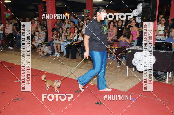 Buy your photos of the eventCo Curso Desfile de Ces on Fotop