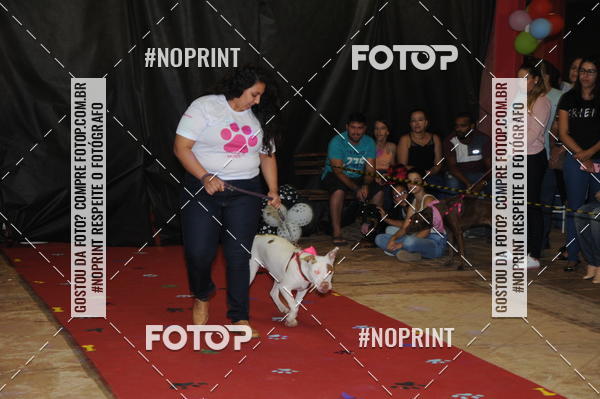 Buy your photos of the eventCo Curso Desfile de Ces on Fotop