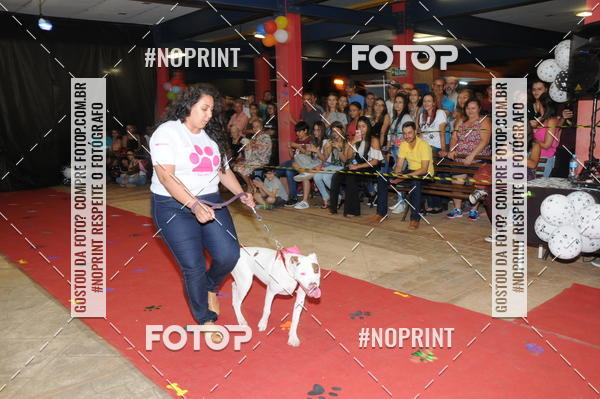 Buy your photos of the eventCo Curso Desfile de Ces on Fotop