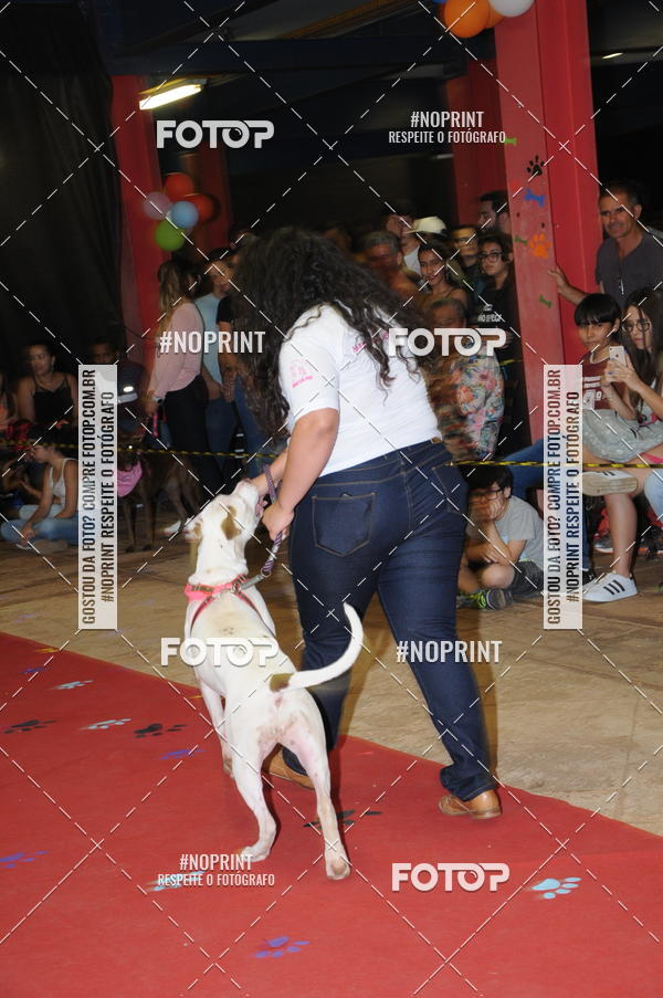 Buy your photos of the eventCo Curso Desfile de Ces on Fotop