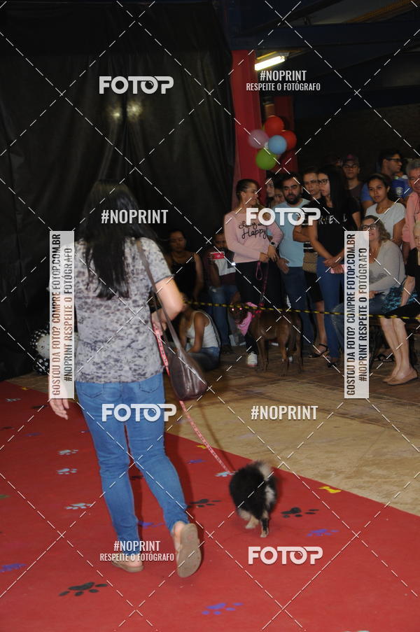 Buy your photos of the eventCo Curso Desfile de Ces on Fotop