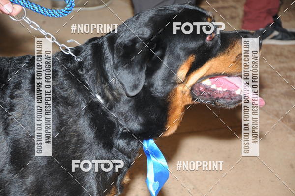 Buy your photos of the eventCo Curso Desfile de Ces on Fotop