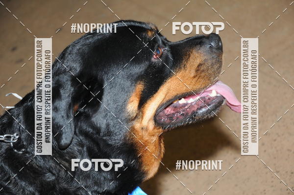 Buy your photos of the eventCo Curso Desfile de Ces on Fotop