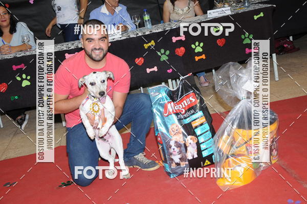 Buy your photos of the eventCo Curso Desfile de Ces on Fotop
